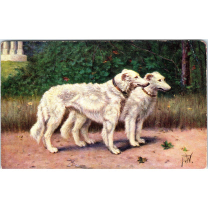 WHITE BORZOI Dogs Painting by F.v.W. c1910 Original Postcard TK1-27