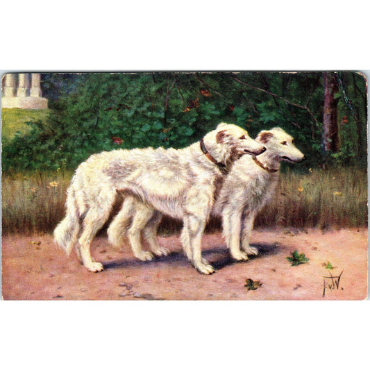 WHITE BORZOI Dogs Painting by F.v.W. c1910 Original Postcard TK1-27