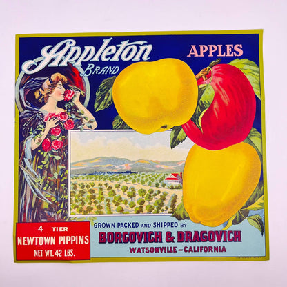 1920s Appleton Pajaro Valley Watsonville CA Borgovich & Dragovich Lithograph FL3