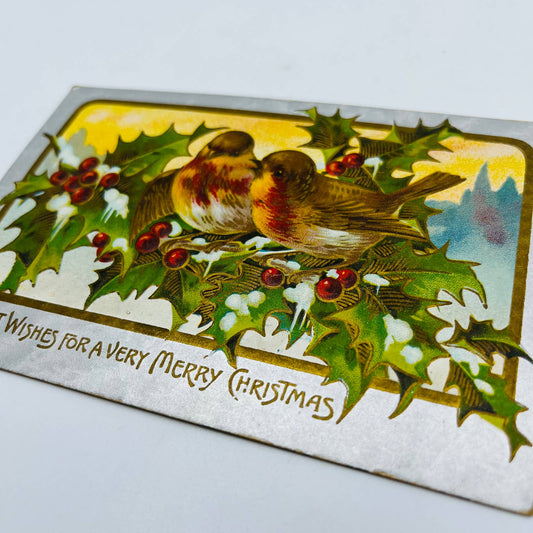 1910s Christmas Post Card Embossed Gold Holly Silver Snow Robins PA4
