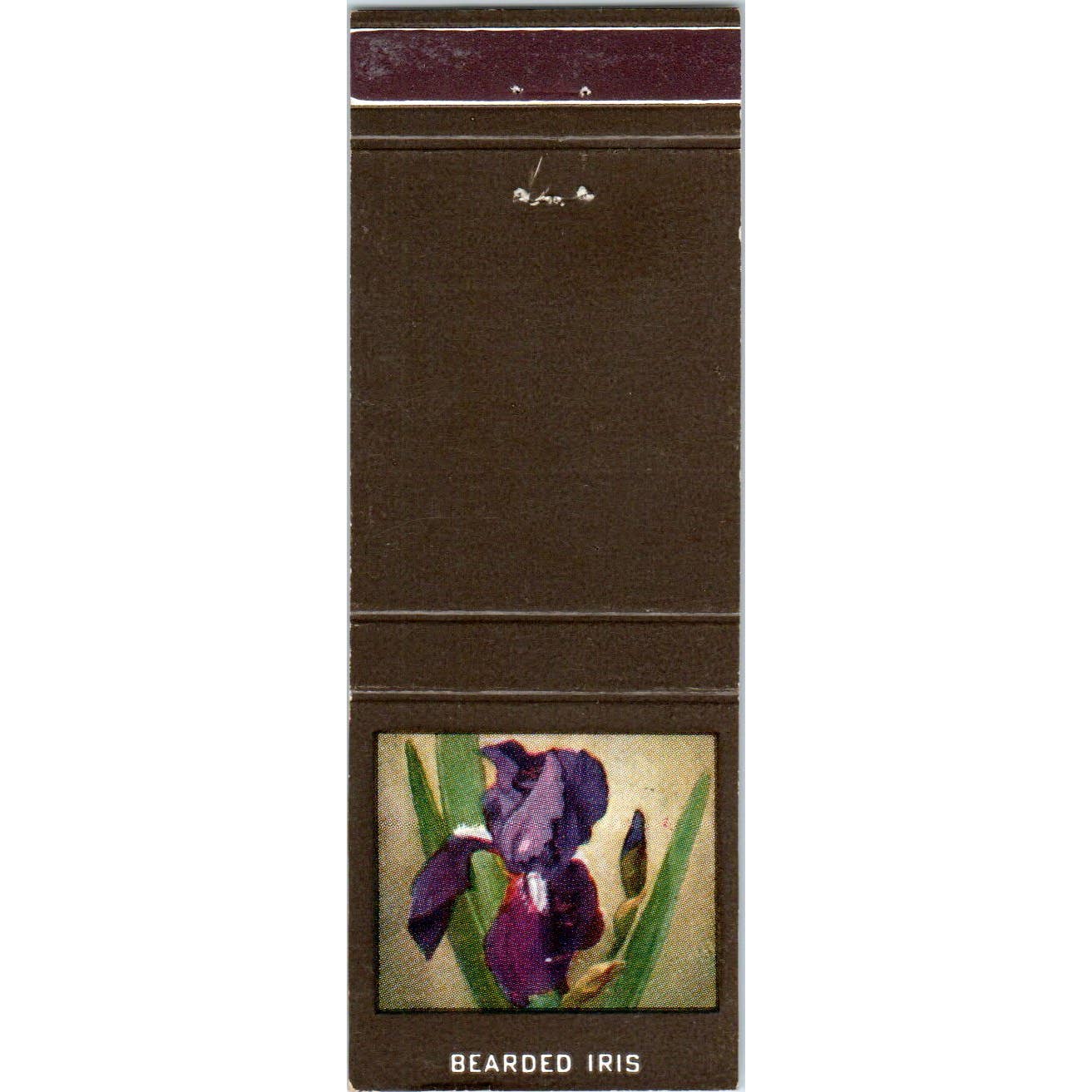 Bearded Iris Flower Diamond Collectible Advertising Matchbook Cover SA1-M9