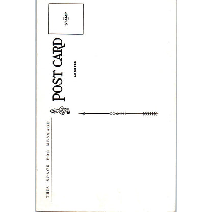 Ride on a Wild Bronco Just Off the Range Cowboy Rodeo Original Postcard TK1-25