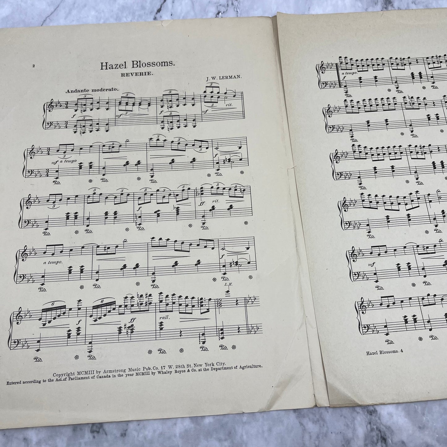 1903 Sheet Music - Hazel Blossoms A Reverie by J.W. Lermam V42-4