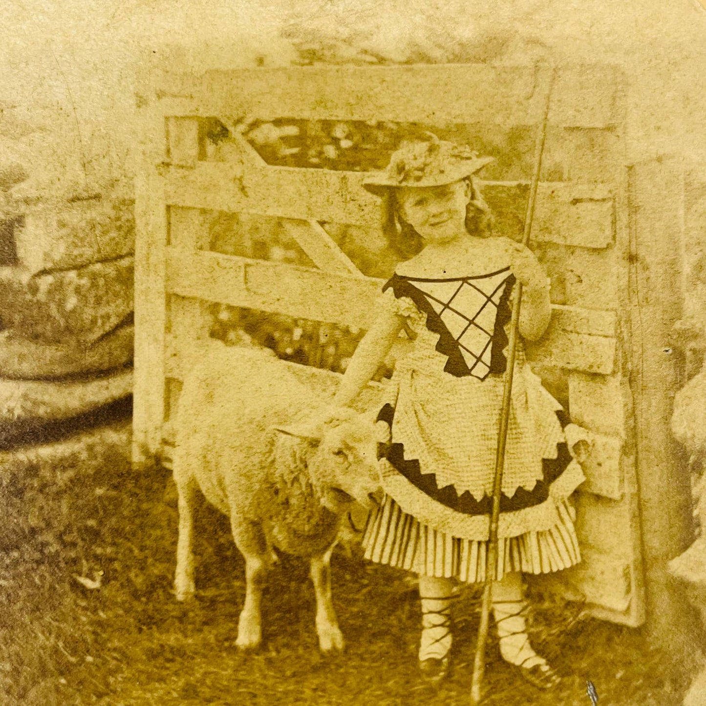 1875 Stereoview Card Victorian Girl Dressed as Little Bo Peep With Sheep SB8