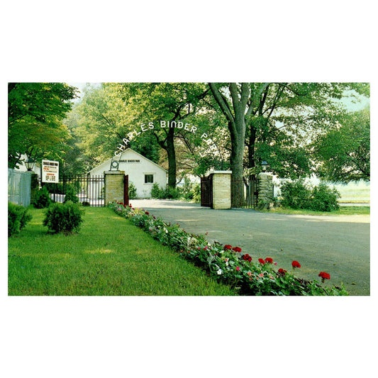 Vintage Postcard - Charles Binder Park Battle Creek Michigan AD9