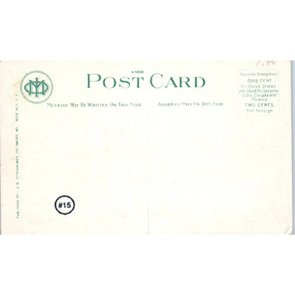 Druid Hill Park Mansion House Baltimore MD Original Postcard TK1-27