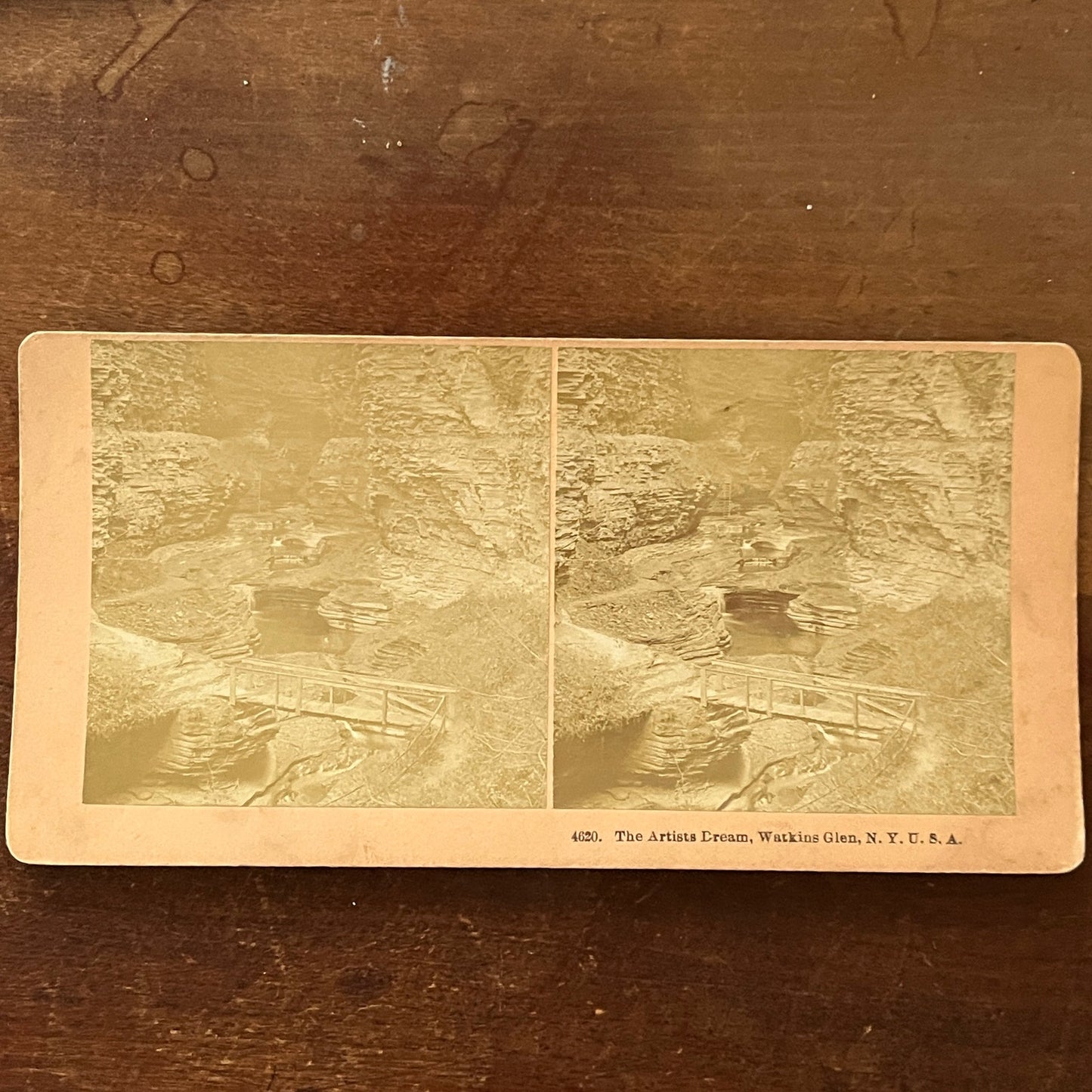 The Artists Dream Watkins Glen NY Antique Stereoview Card H2-4