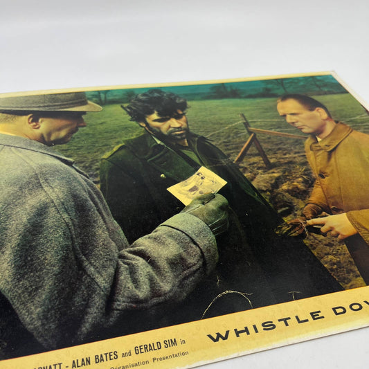 1961 Whistle Down the Wind John Arnatt Alan Bates 11x14 British Lobby Card 1 FL4