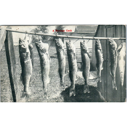 A Morning's Catch Fishing Fish on Line 1912 Original Postcard PB1