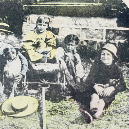 c1890 Lot of 6 Stereoview Cards VICTORIAN CHILDREN WITH ANIMALS PETS TA7-14