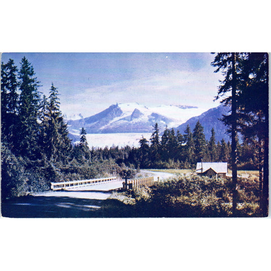 Winding Road to Mendenhall Glacier Alaska Original Postcard P2-6