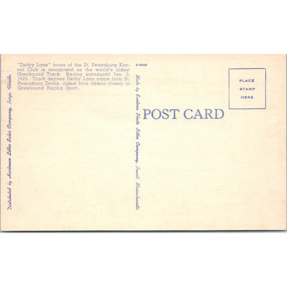 Derby Lane St. Petersburg Kennel Greyhound Track Night Crowd Postcard P2-9