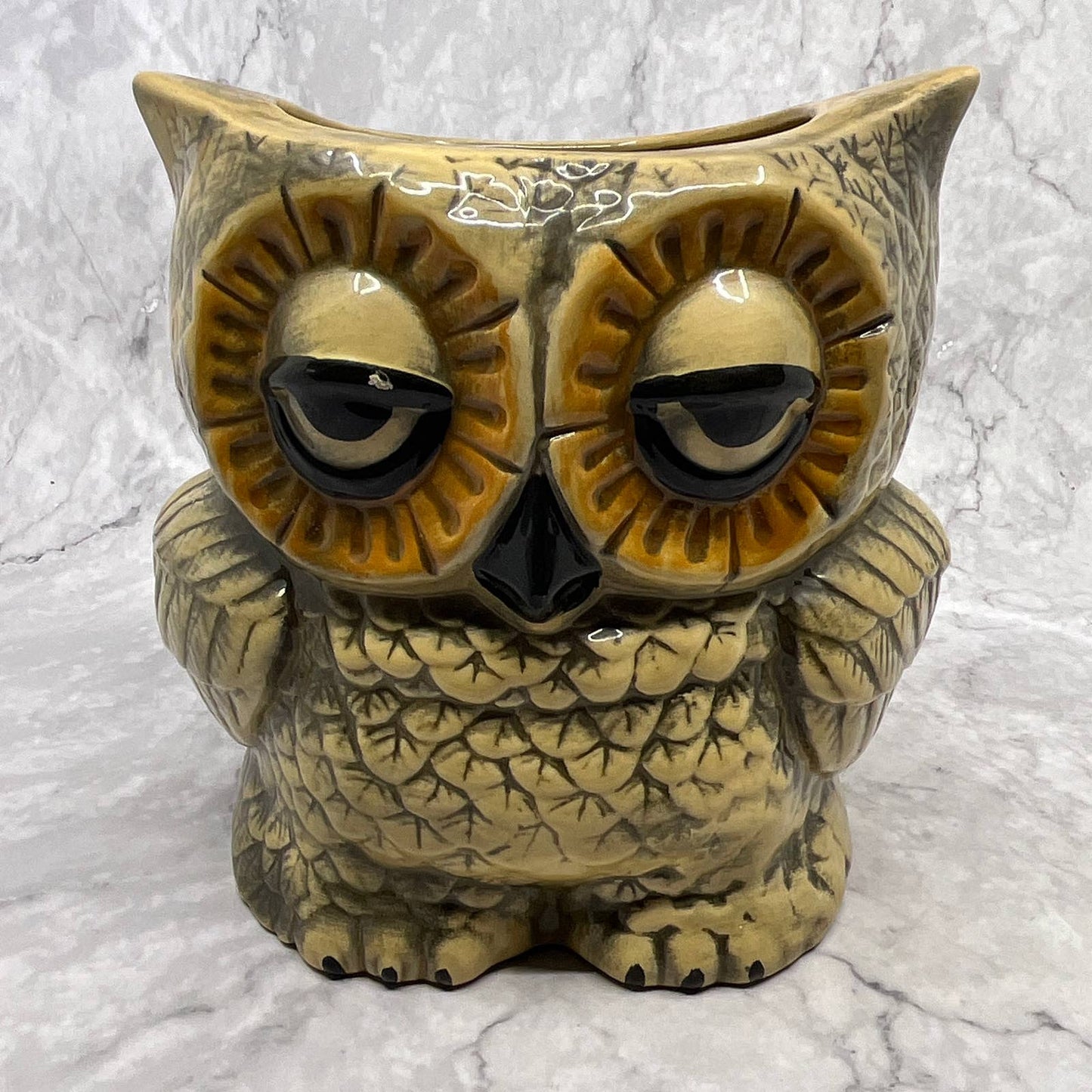 Vtg 1978 Double Sided Owl Ceramic Planter Jar Kitchen Storage Sleepy Eyes 7" TI7
