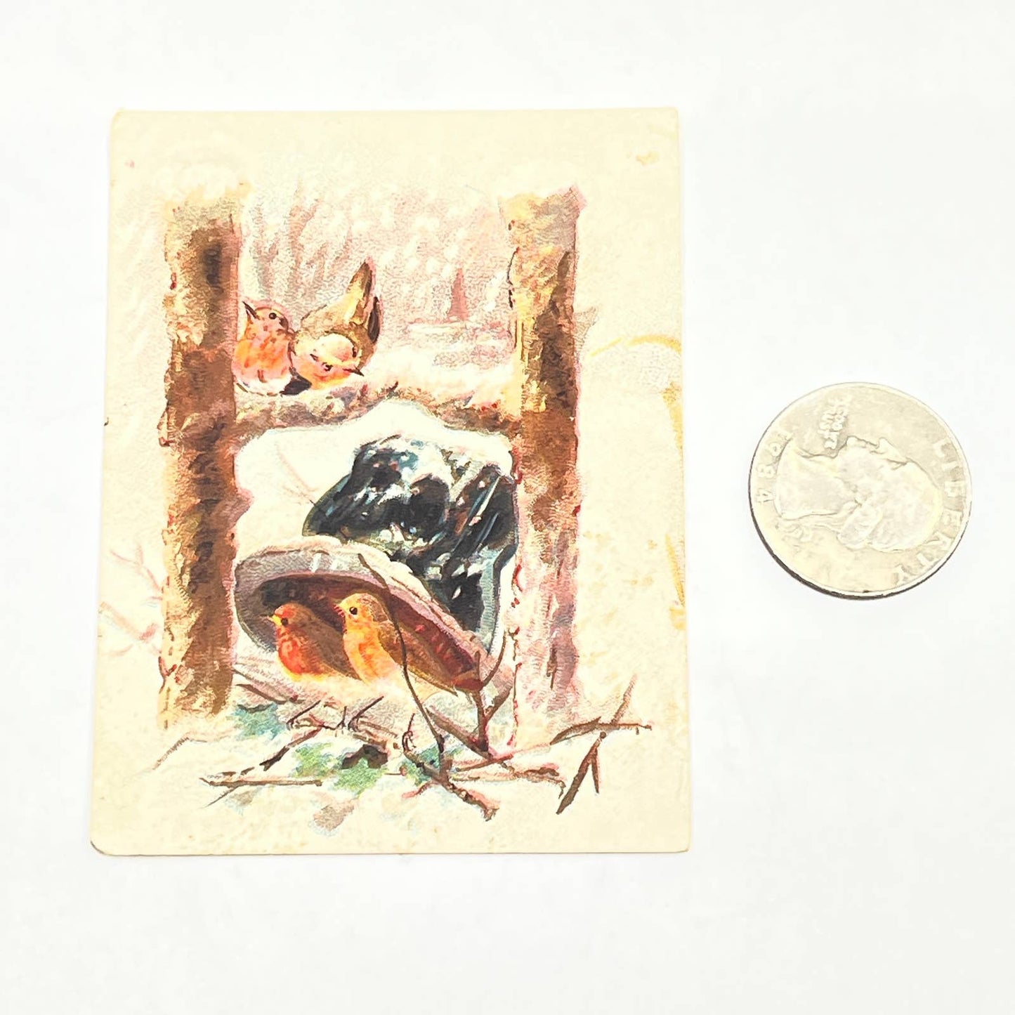 Original 1880s Victorian Trade Card Dilworth’s Coffee Robins Birds AB6