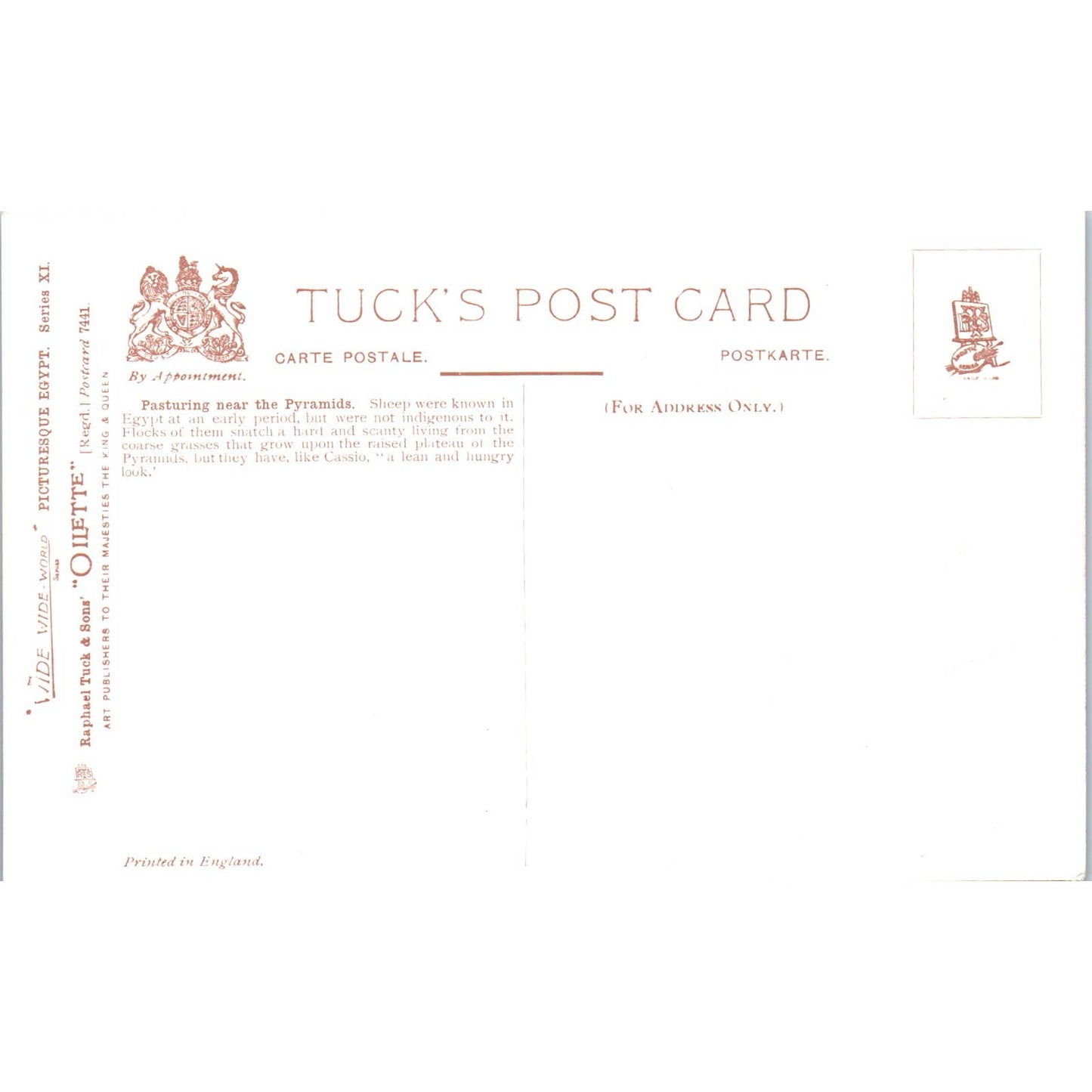 Egypt Pasturing the Pyramids Raphael Tuck Oilette Original Postcard TK1-P14