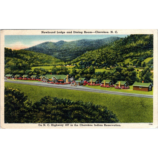 Newfound Lodge Cherokee NC R.F. Hall 1947 - Original Postcard TJ7-RP2