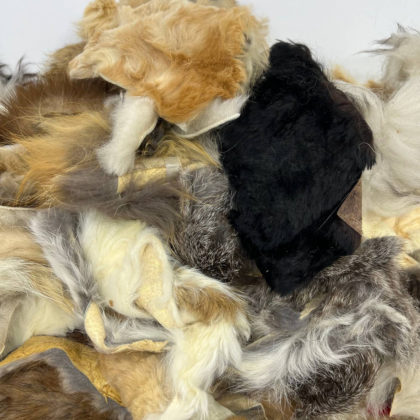 HUGE Fur Scrap Lot 2+ Pounds Fox Coyote Beaver Ermine More Craft Remnants FL3