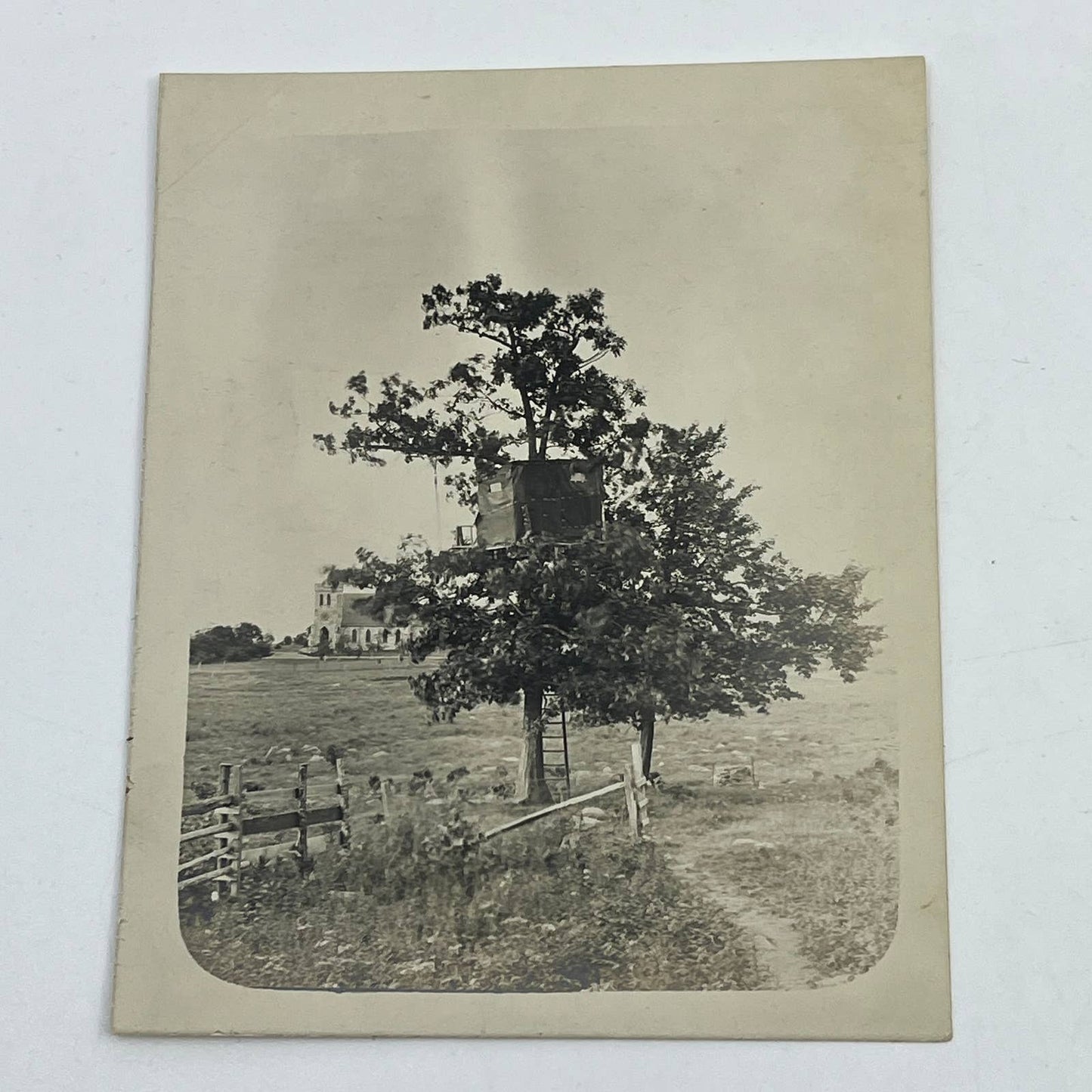 1903 Original Photo Tree house Built By Americans Ulster Co NY At Tuxpam AC7-2