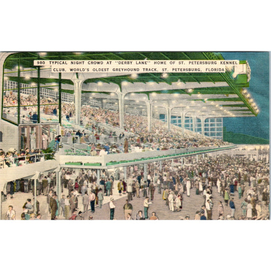 Derby Lane St. Petersburg Kennel Greyhound Track Night Crowd Postcard P2-9