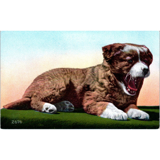 Collie Puppy Dog 1940s Original Postcard P1-12