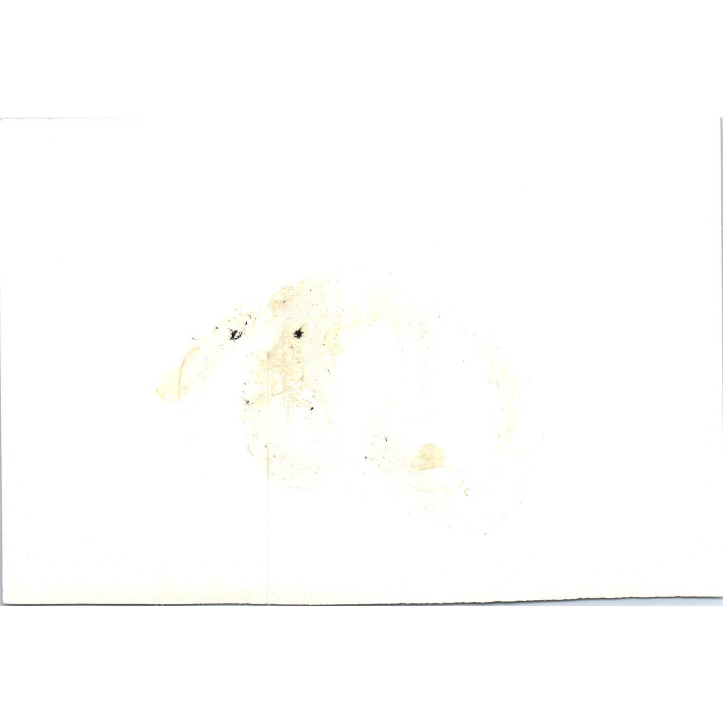 Ambassador Margain of Mexico Q&A Session 1965 Original Photo 5x7 TK1-P4