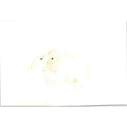 Ambassador Margain of Mexico Q&A Session 1965 Original Photo 5x7 TK1-P4