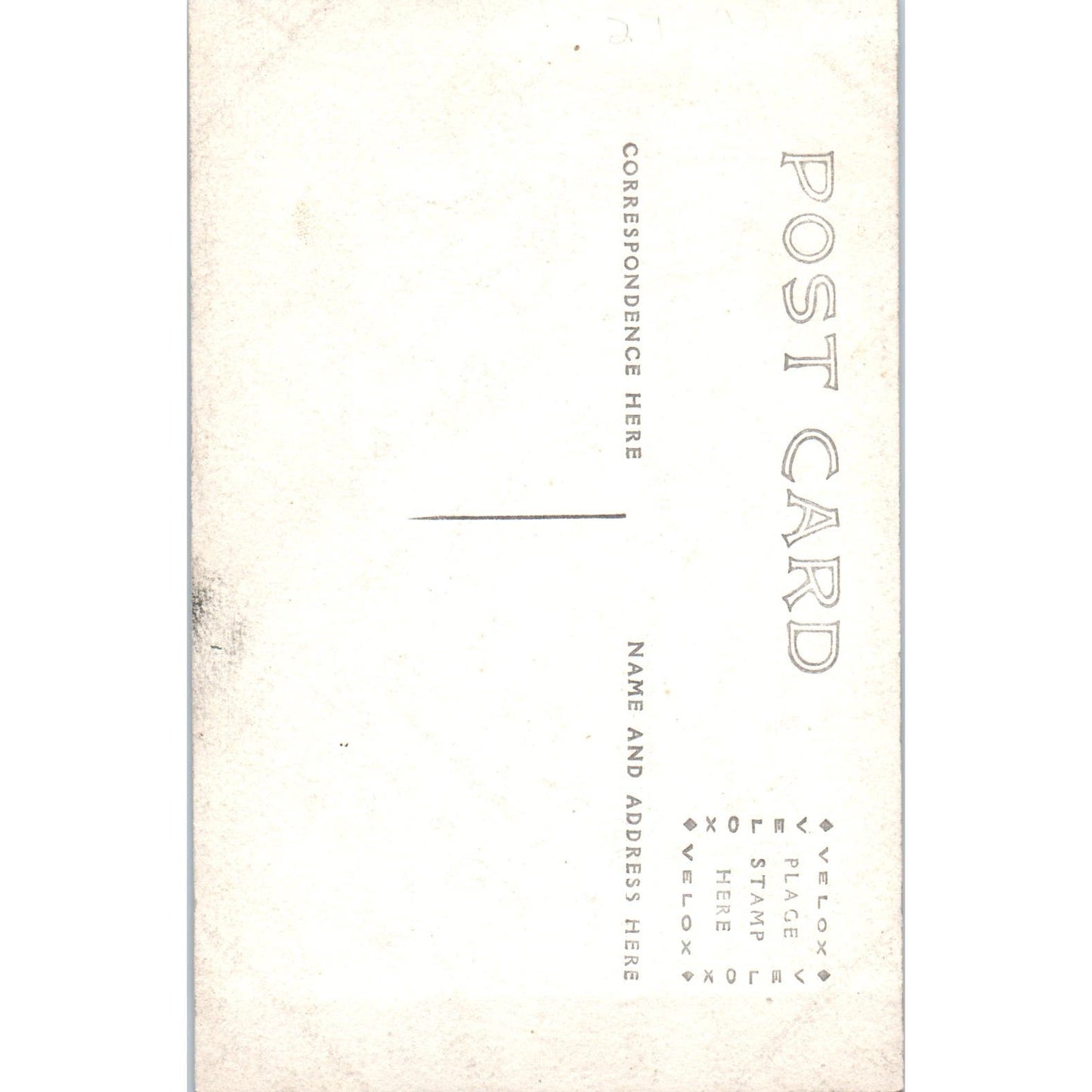 Victorian Woman Portrait in Leaf RPPC Real Photo Postcard PB1