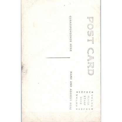 Victorian Woman Portrait in Leaf RPPC Real Photo Postcard PB1