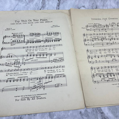 Dreams Just Dreams By Irving Berlin Frew Art 1910 Sheet Music Art Nouveau TJ4