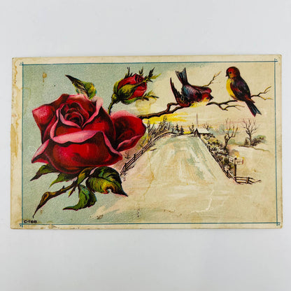 Victorian 1880s Trade Card Lion Coffee Woolson Toledo OH Birds & Roses AA2