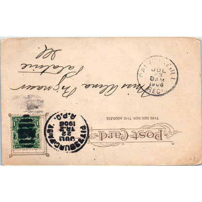 Panther Hollow Bridge Schenley Park Pittsburgh PA 1906 Original Postcard P3-3