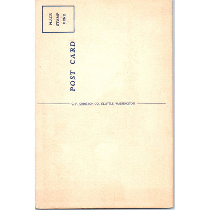 1952 Trapper's Cache Alaska Original Postcard TK1-29