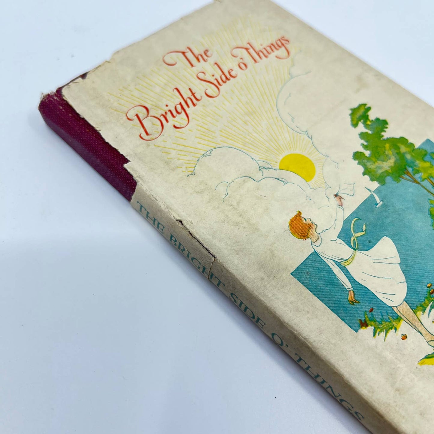 1927 The Bright Side O' Things Harvey Hamlyn Hardcover Dust Jacket TF1