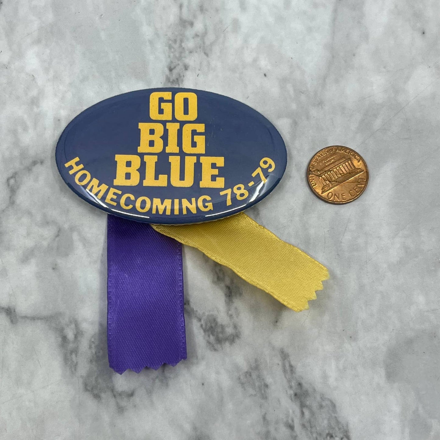1978-79 Hermantown Hawks Homecoming Football Pinback Button Go Big Blue SF1