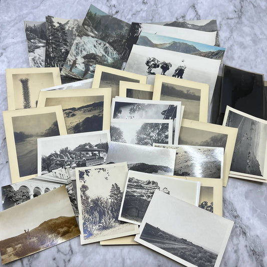 1920s Collection of Photos & Negatives of California Landscape Views TJ8