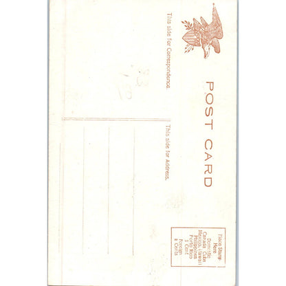 Resolved to Capture a Man c1910 Victorian Tinted Original Postcard TK1-P18