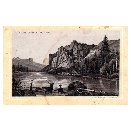 Scene on Snake River Idaho - Jersey Coffee - 1880s Victorian Trade Card TJ8-3