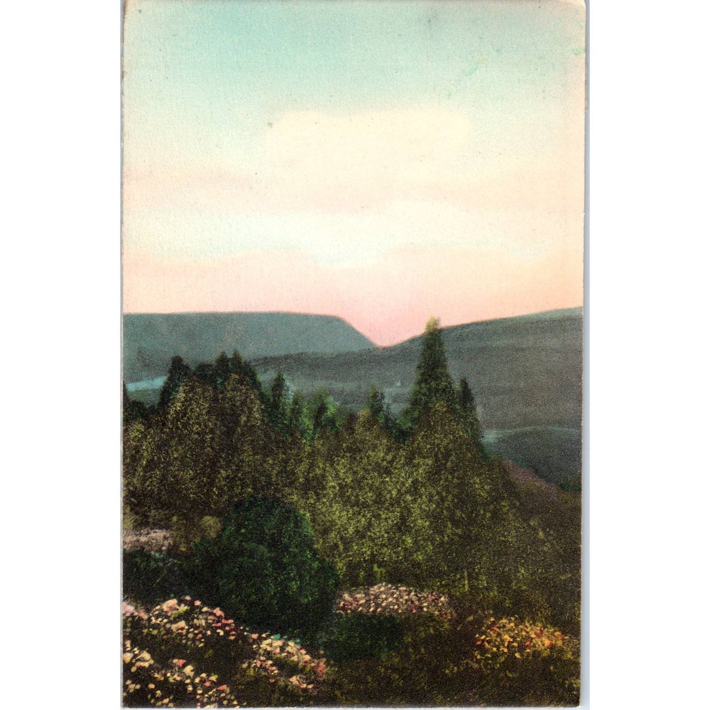 Vintage Postcard Delaware Water Gap From The Pocono Manor Inn PA TD9-P1