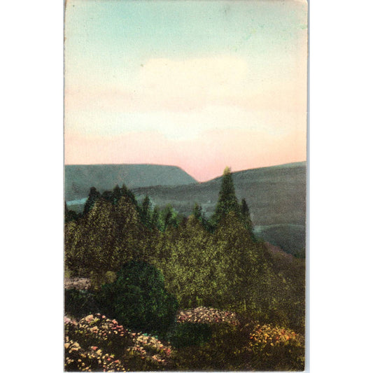 Vintage Postcard Delaware Water Gap From The Pocono Manor Inn PA TD9-P1