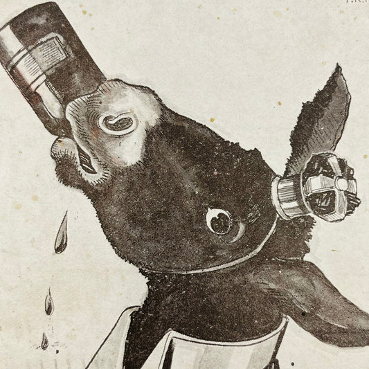 1910s Post Card Humor Illustrated A Royal Bun Anthropomorphic Donkey Drunk PA6