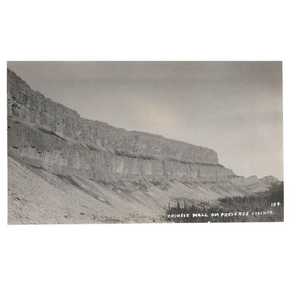 Chinese Wall on Preserve Stecker - Original Postcard RPPC TJ8-4