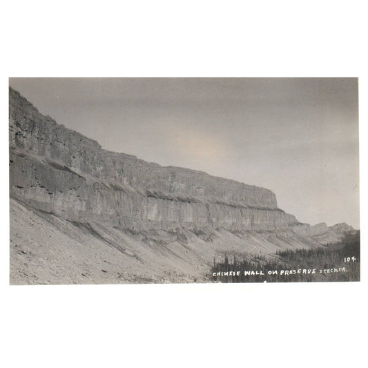 Chinese Wall on Preserve Stecker - Original Postcard RPPC TJ8-4