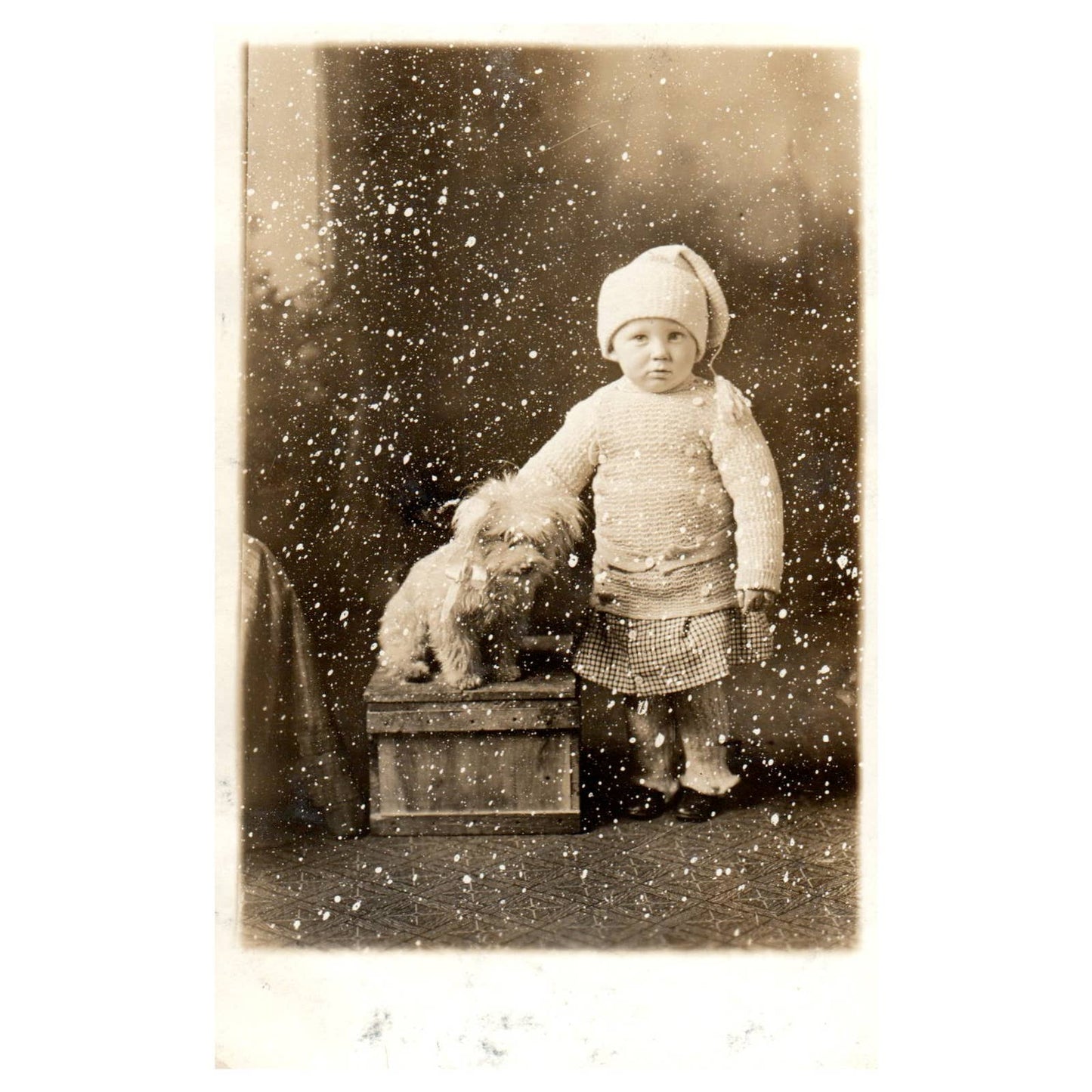 Baby Girl Toddler With Puppy Dog on Crate - Original Postcard RPPC TJ8-4