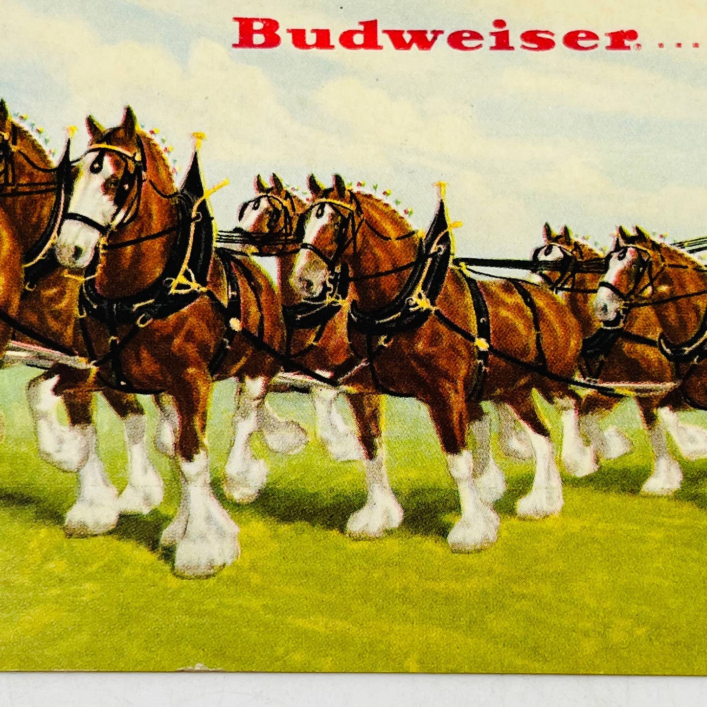 1940s DOUBLE FOLD ADVERTISING POSTCARD BUDWEISER CLYDESDALE HORSES MICHELOB C7