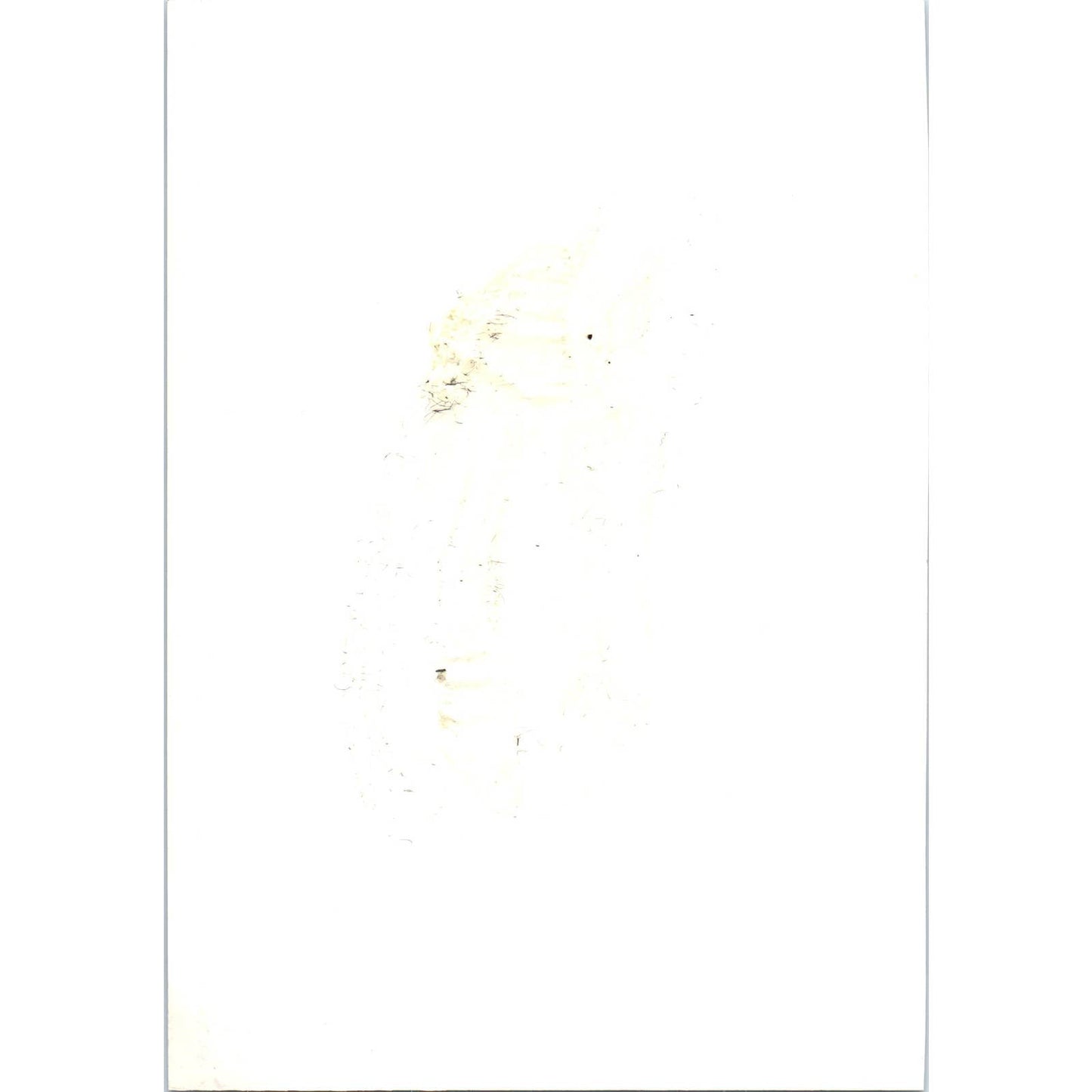 Brazil Foreign Minister Juracy Magalhaes at Yankton College 1964 Photo TK1-P4