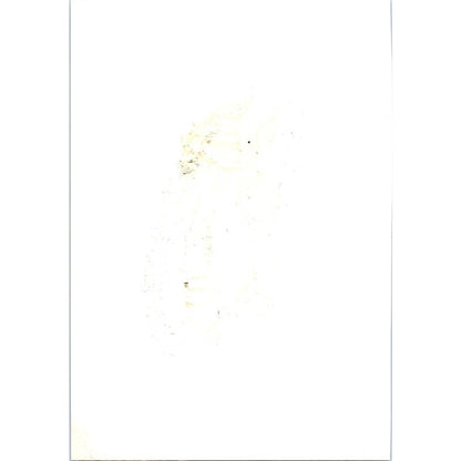 Brazil Foreign Minister Juracy Magalhaes at Yankton College 1964 Photo TK1-P4