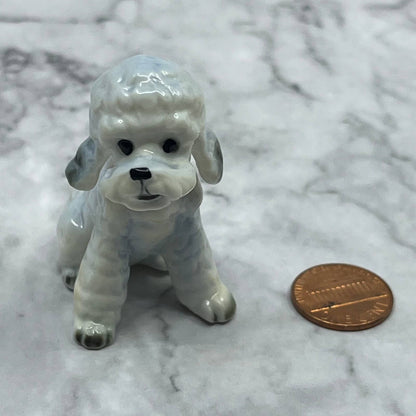 Vintage MCM Hand Painted Poodle Dog Bone China Figurine 2.5” SE1