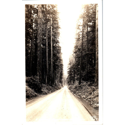 Western Washington Highway RPPC Original Postcard P1-13