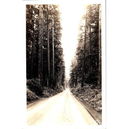 Western Washington Highway RPPC Original Postcard P1-13