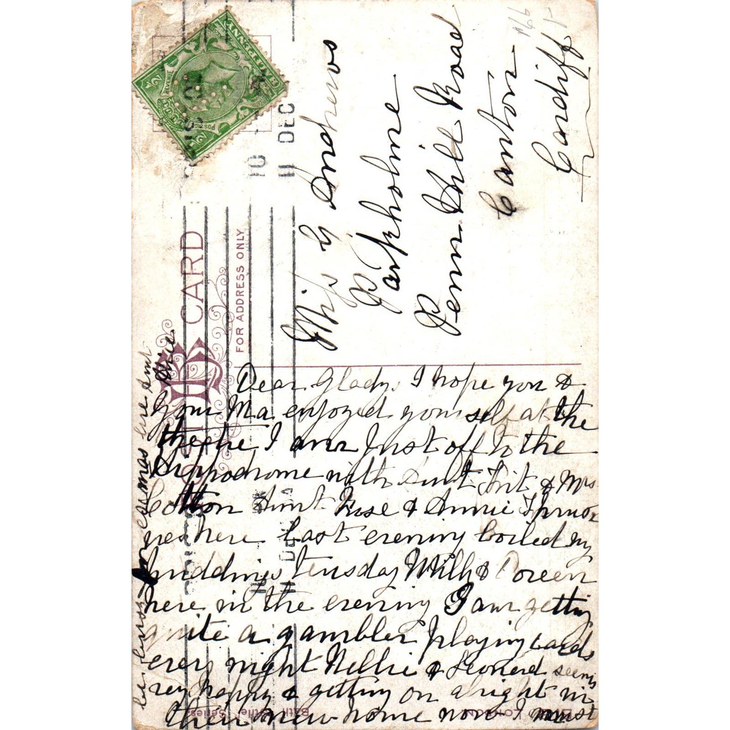 Botanical Gardens Victoria Park Bath Original Postcard TK1-P12